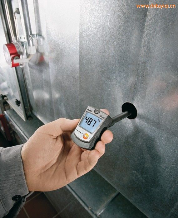 迷你溫濕度計testo 605-H1